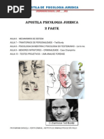 Psicologia Juridica UNIP 2011 1 Semestre 02