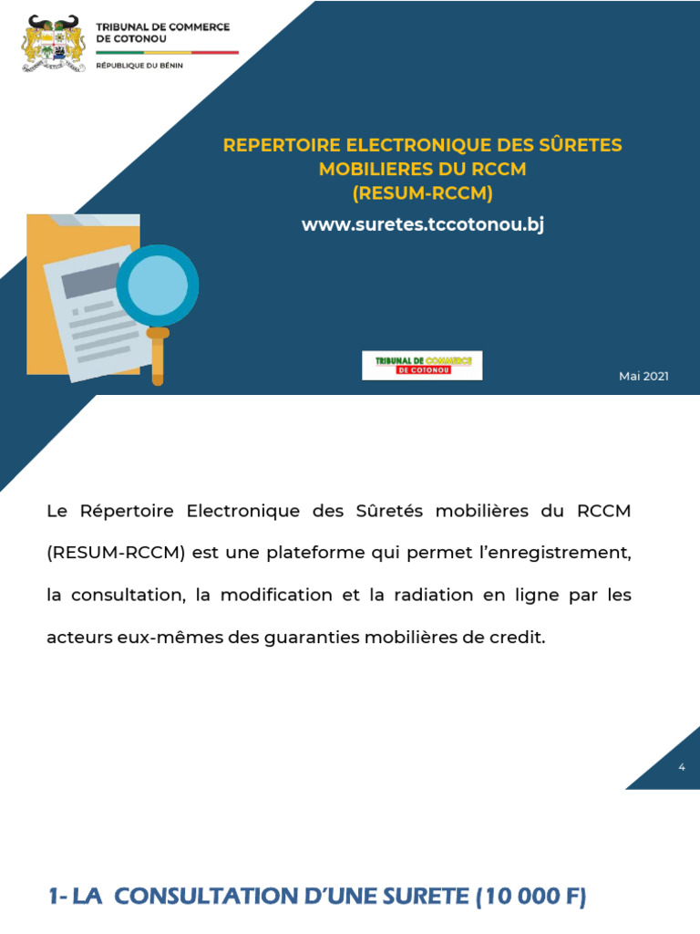 Guide d'utilisation du RESUM-RCCM | PDF