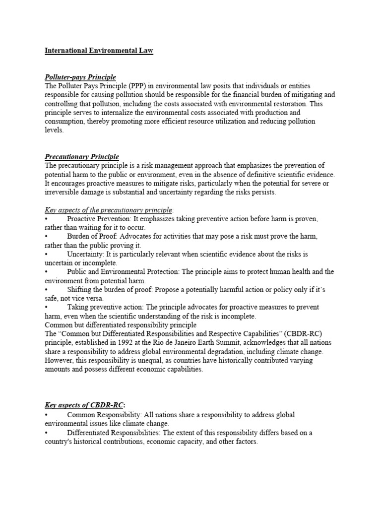 Key Principles of International Environmental Law | PDF | Climate ...