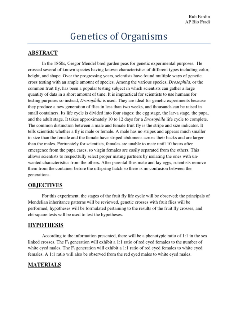 Lab 7 Report PDF Drosophila Melanogaster