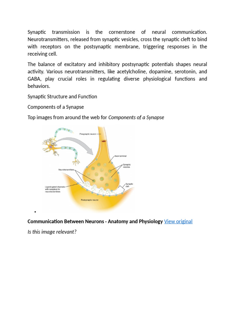 Synaptic Transmission Is The Cornerstone of Neural Communication | PDF ...