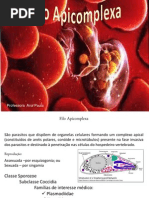 3_Apicomplexa