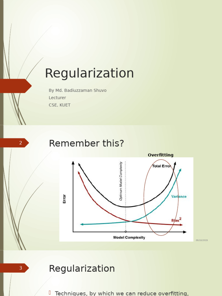 Understanding Regularization Techniques | PDF