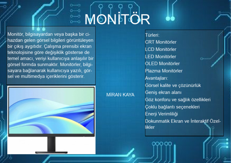 MONİTÖR | PDF