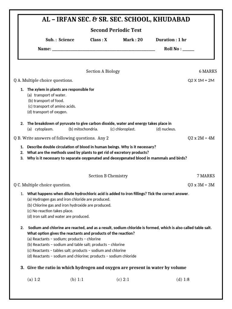 Class X Science Periodic Test Paper | PDF | Chlorine | Chemical Reactions
