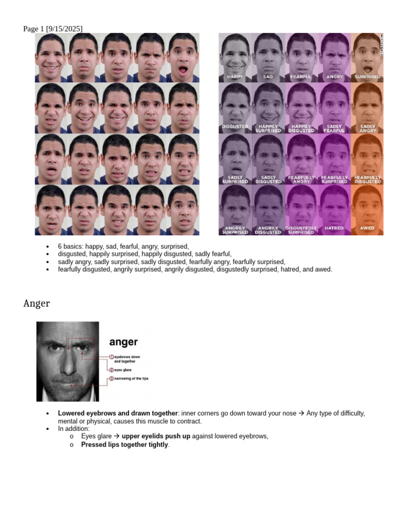 Describing Angry Eyebrows | PDF | Smile | Anger