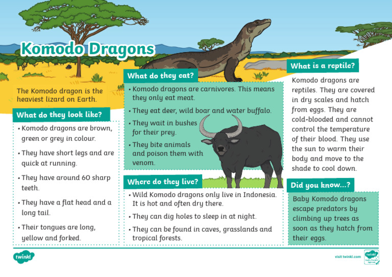 T TP 1683195770 Komodo Dragon Fact File Ver 2 | PDF