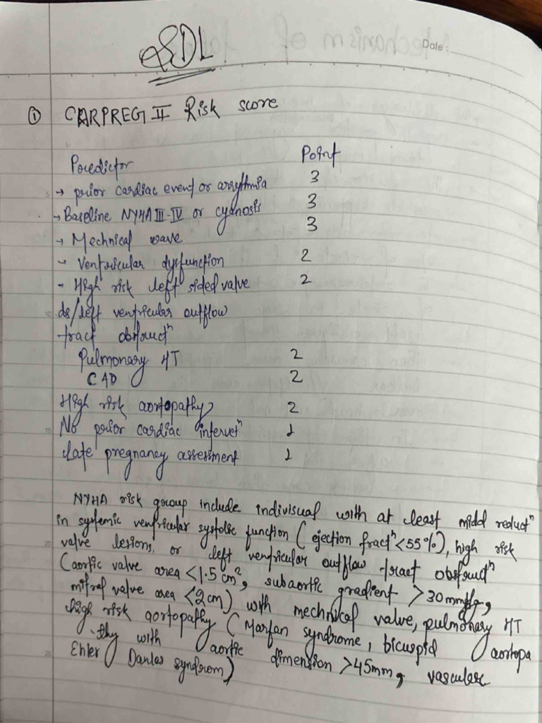 SDL | PDF