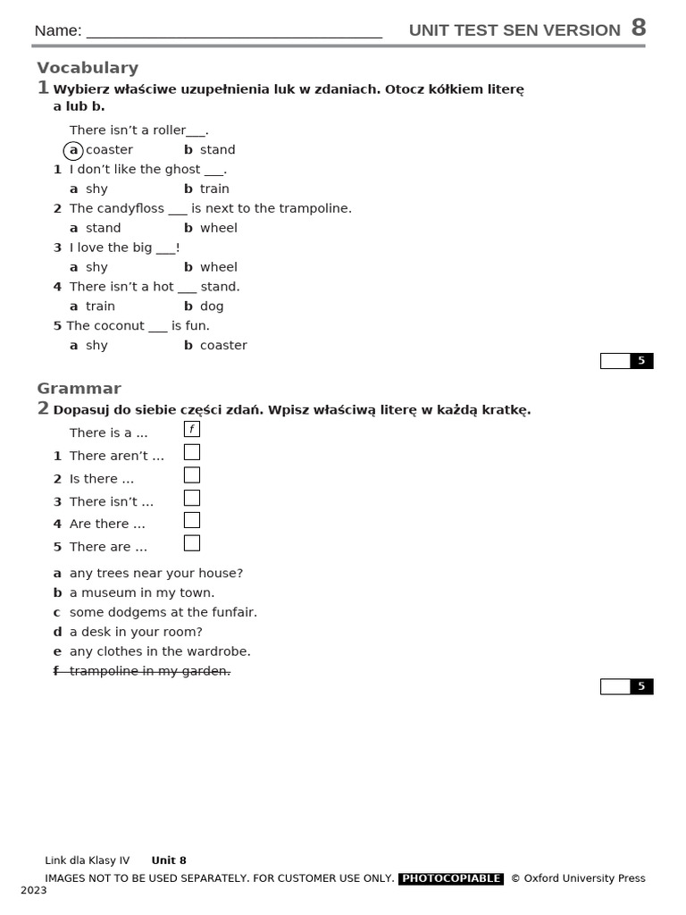 Link IV Unit 8 SEN Test | PDF