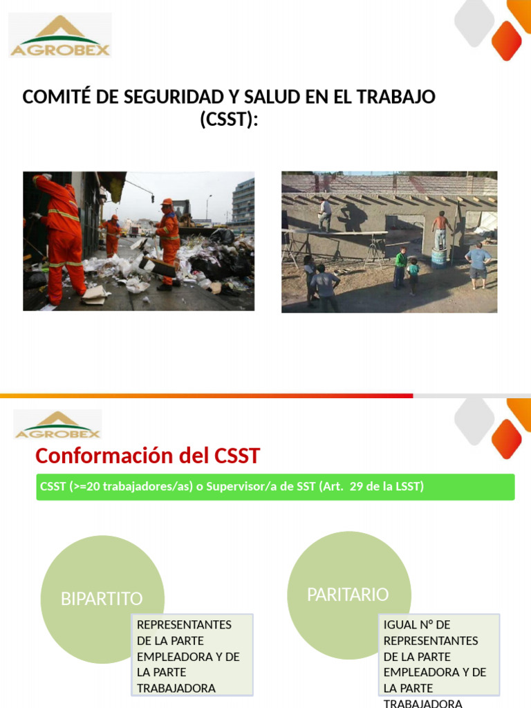 Conformación y Funcionamiento del CSST | PDF | Gobierno