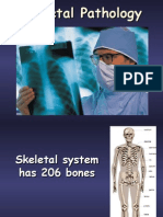 Skeletal Pathology