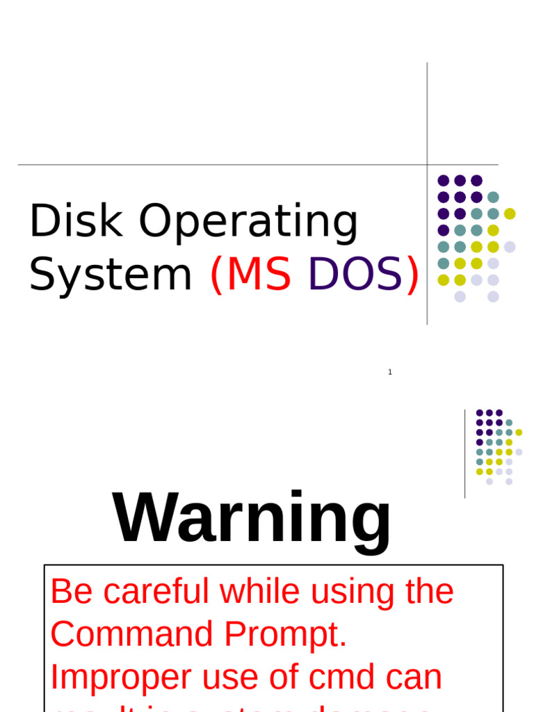 Disk Operating System | PDF