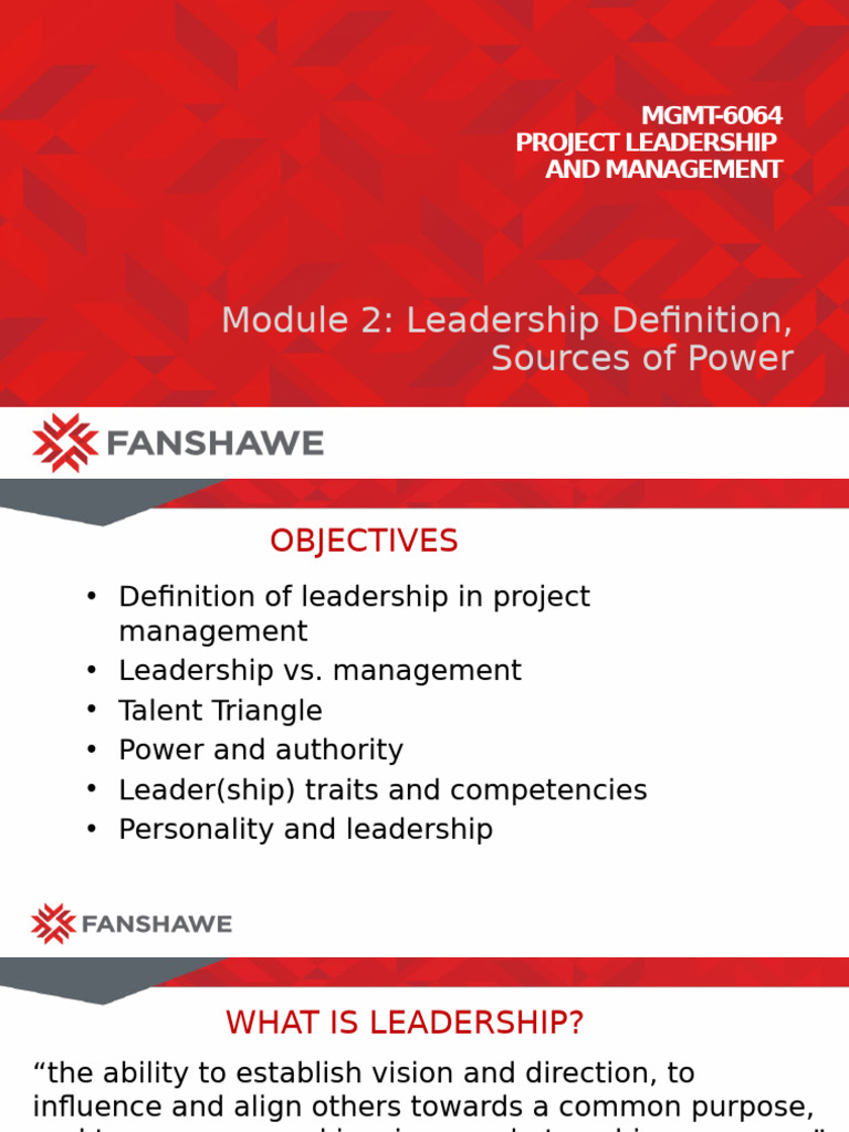 Leadership in Project Management | PDF | Leadership | Extraversion And ...