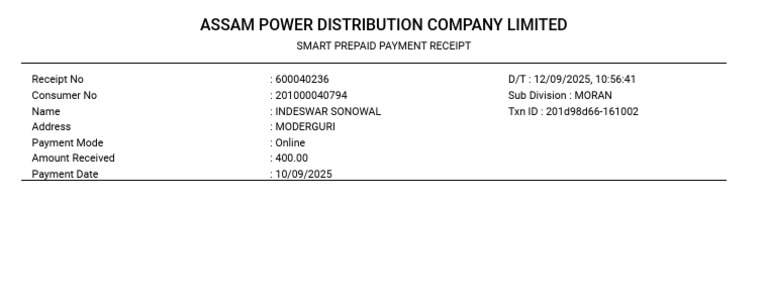 E - Bill | PDF