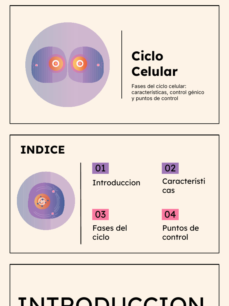 Fases y Control del Ciclo Celular | PDF | Ciclo celular | Biología Celular
