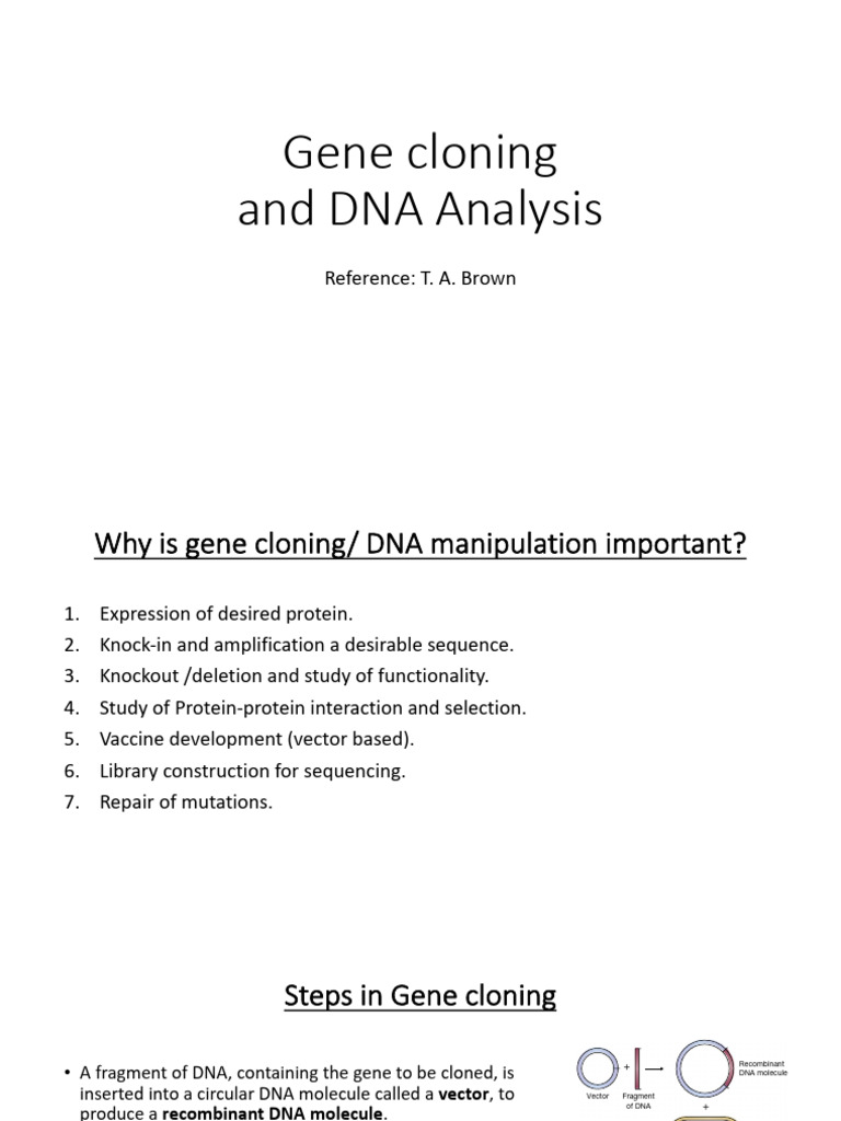 Gene Cloning and DNA Analysis Overview | PDF | Plasmid | Molecular Cloning