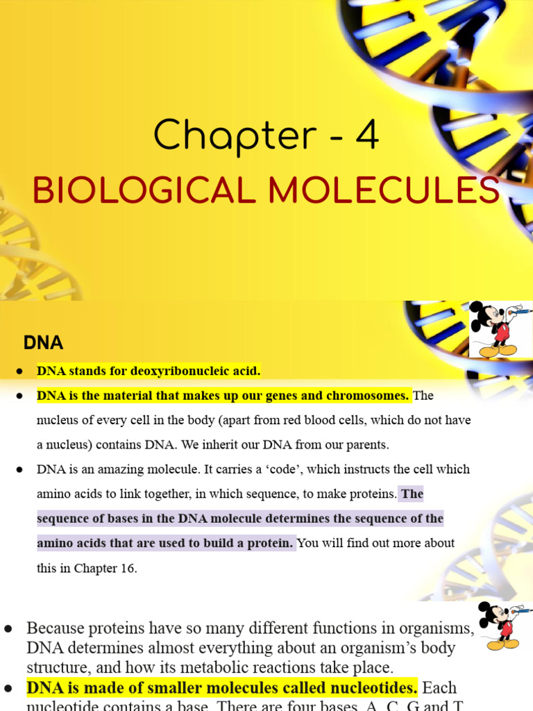 Understanding DNA Structure and Function | PDF