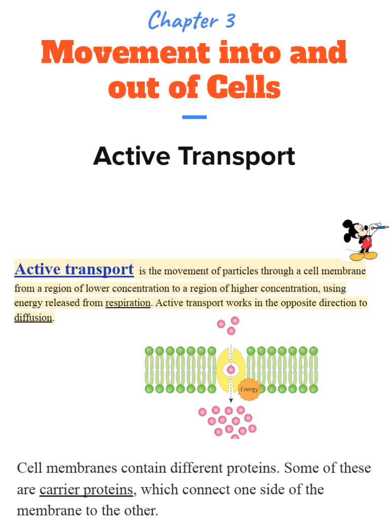 Toddle 42fc7f1c 4735 4c06 85e0 385397baf2be Movement Into and Out of ...