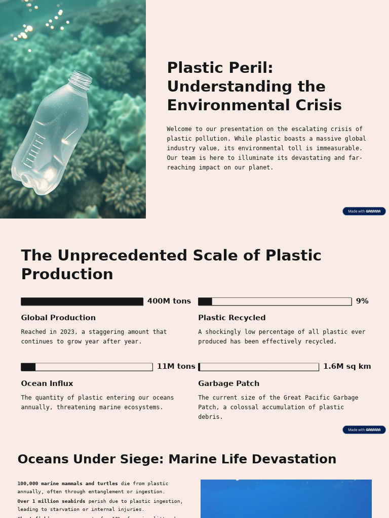 Plastic Pollution: A Global Crisis Explained | PDF | Plastic | Pollution