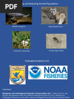 Rte Animal List | PDF | Endangered Species | Conservation Biology