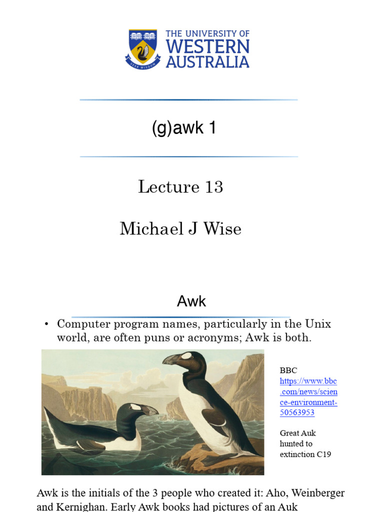 Introduction to Awk Programming | PDF | Computer Programming | Software ...