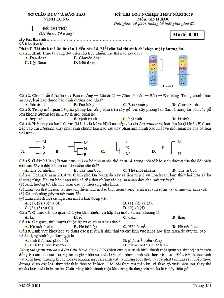 Ma de 0401 | PDF