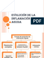 Evolución de La Inflamación Aguda