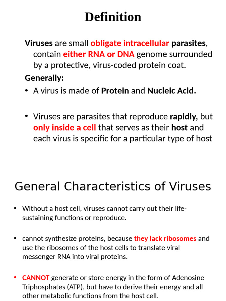 RNA Viruses Presentation | PDF | Retrovirus | Virus
