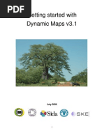 Getting Started Dynamic Maps v3.1