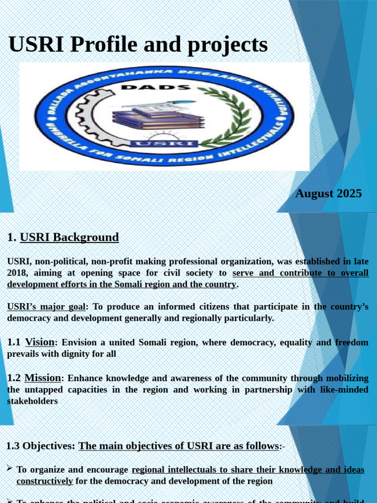 USRI Overview and Ongoing Projects | PDF