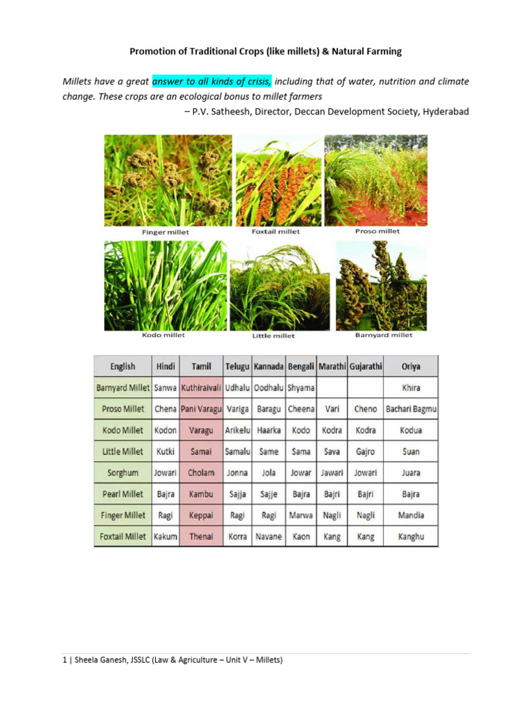 Millets | PDF | Agriculture | Cereals