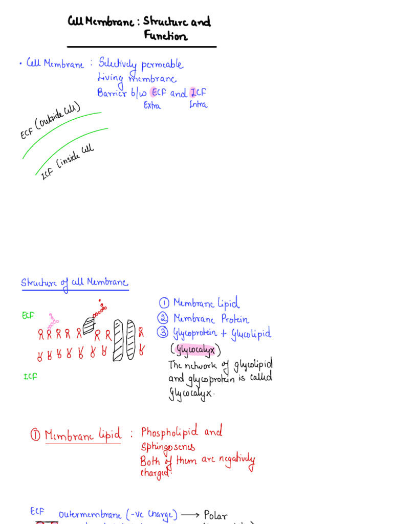 Cell Membrane - Structure and Function | PDF | Cell Membrane ...