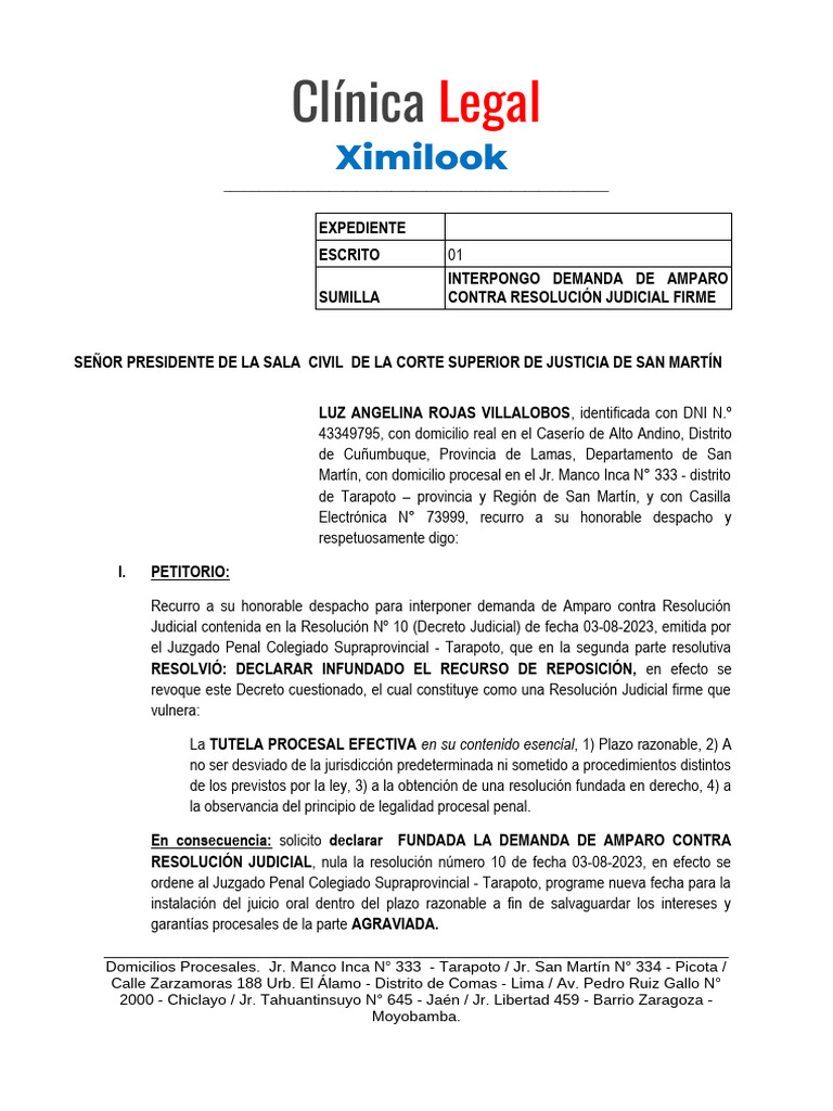 Demanda de Amparo contra Resolución Judicial | PDF | Debido al proceso ...