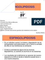 Esfingolipidosis