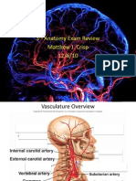 The Head: 3 Anatomy Exam Review Matthew J. Crisp 12/6/10