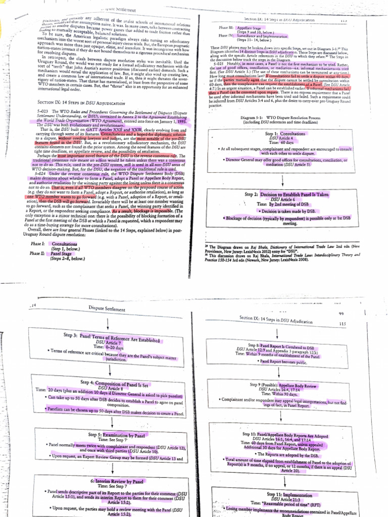 DSU Notes Compressed Compressed | PDF | International Relations ...