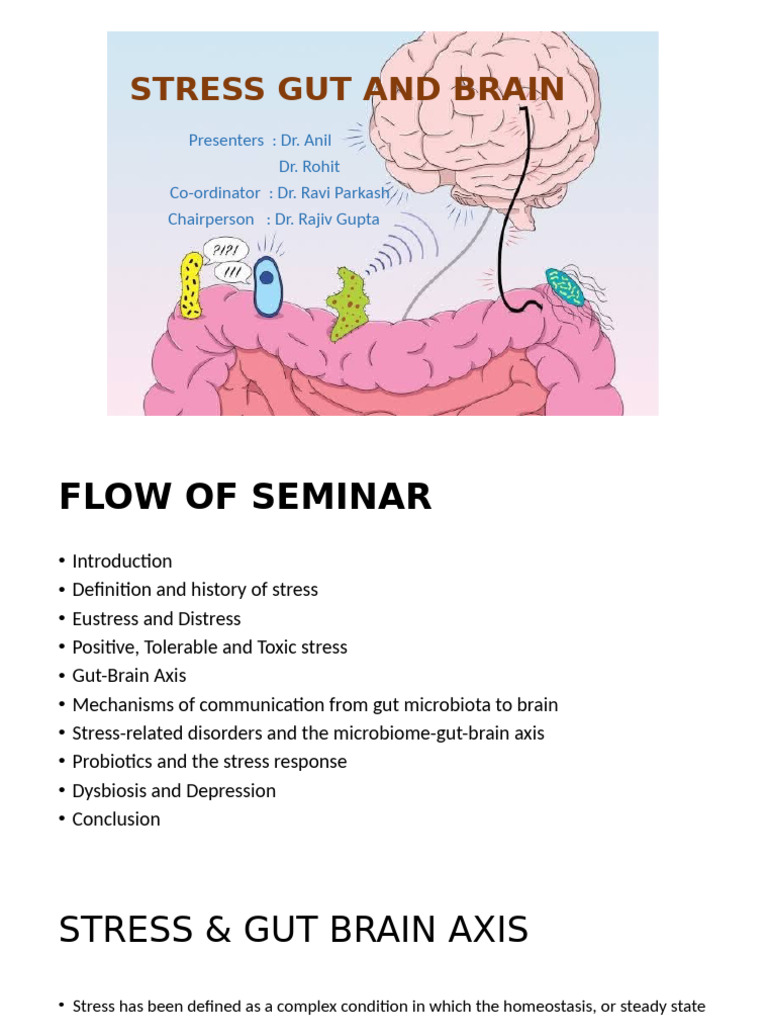 Stress Gut and Brain | PDF | Stress (Biology) | Serotonin