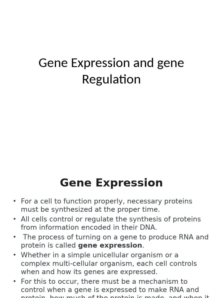 Understanding Gene Expression & Regulation | PDF | Gene | Regulation Of ...