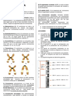 LA CITOGENÉTICA 2 D - Practica