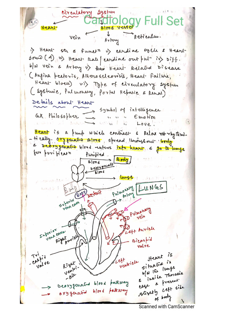 HEART | PDF