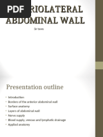 Anatomy of the Anterior Abdominal Wall | PDF | Abdomen | Vein