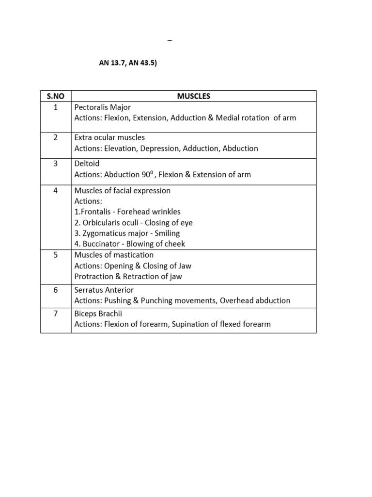 Muscle Actions for MBBS Anatomy 2024 | PDF | Anatomical Terms Of Motion ...
