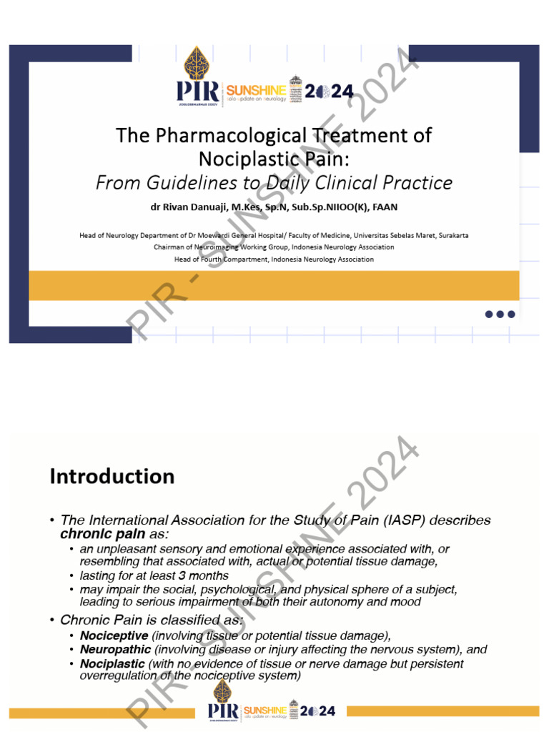 Nociplastic Pain: Treatment Guidelines Explained | PDF | Pain | Medical ...