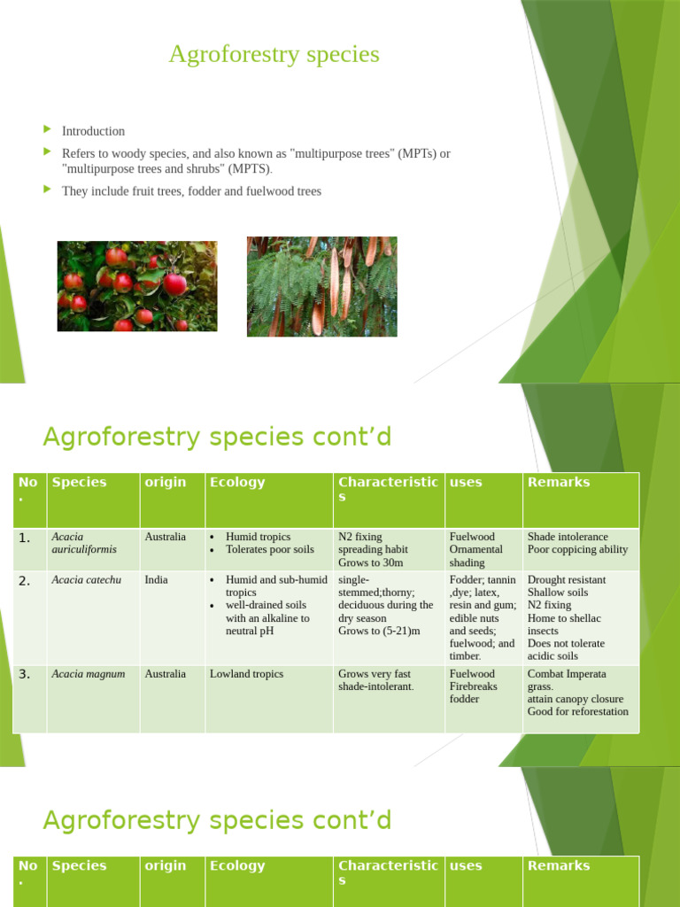 Agroforestry Species Overview and Uses | PDF | Trees | Soil