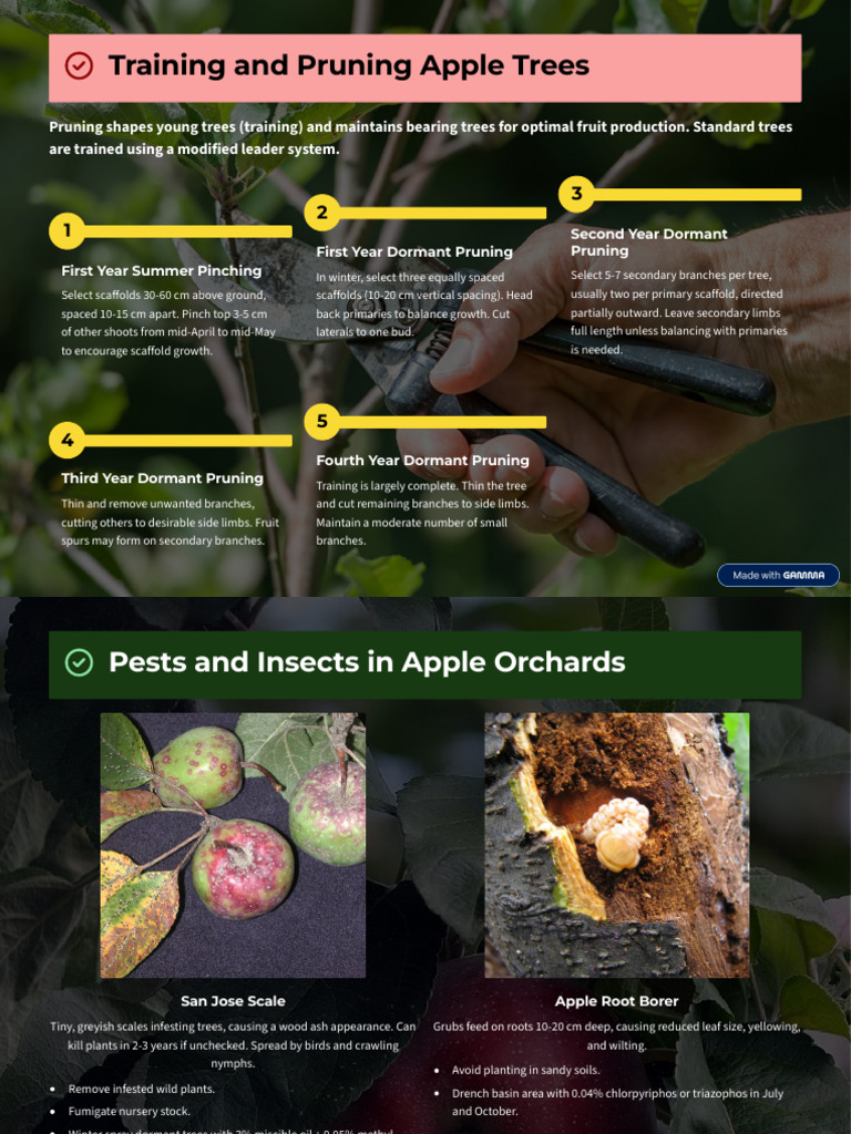 Apple Tree Care: Pruning & Pests Guide | PDF | Pruning | Botany