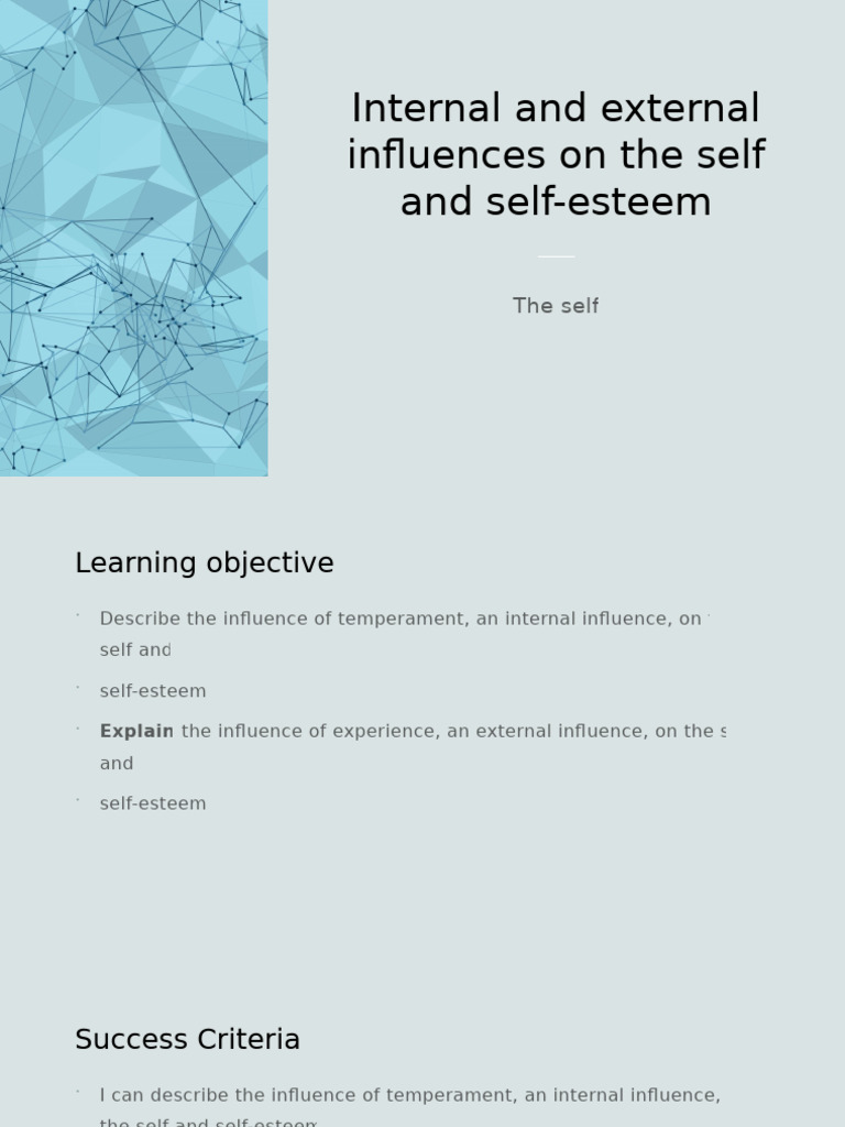 Influences on Self and Self-Esteem | PDF | Self Esteem | Temperament