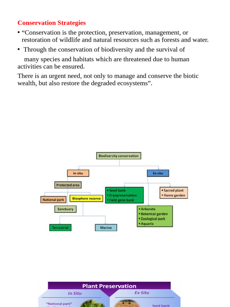 10 Conservation Strategies | PDF | Conservation Biology | Biology
