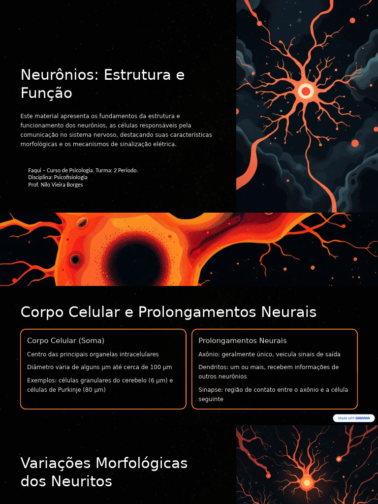 Estrutura e Função dos Neurônios | PDF | Neurônio | Célula (Biologia)
