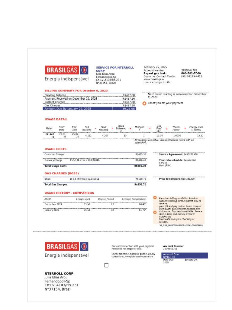 Utility Bill - Brazil | PDF