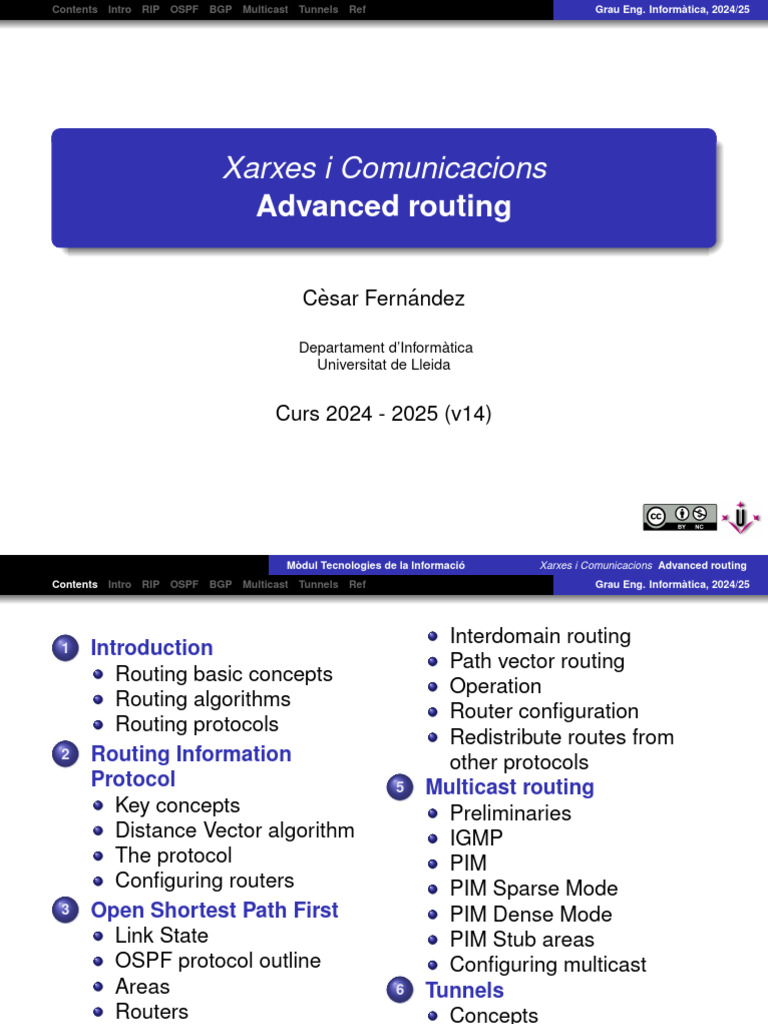 Advanced Routing Protocols Overview | PDF | Routing | Internet Architecture